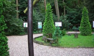 Image Image
