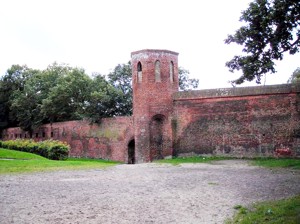 Image Image