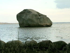 Image Image