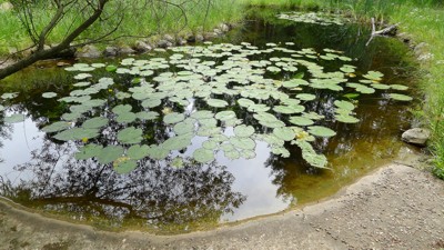 Image Image