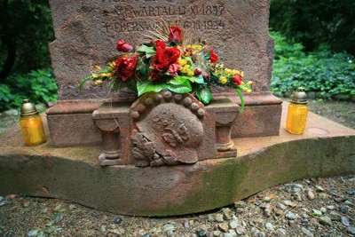 Image Image
