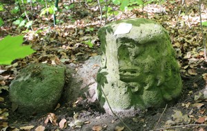 Image Image