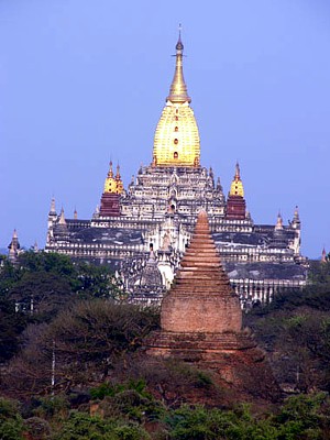 Image Image