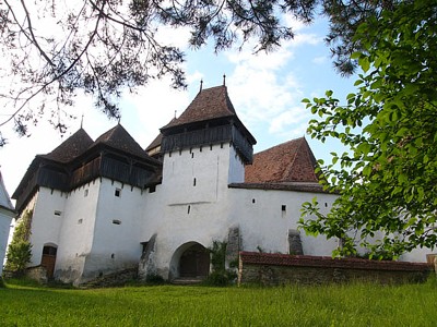 Image Image