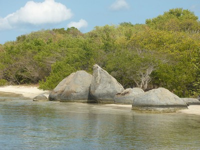 Image Image