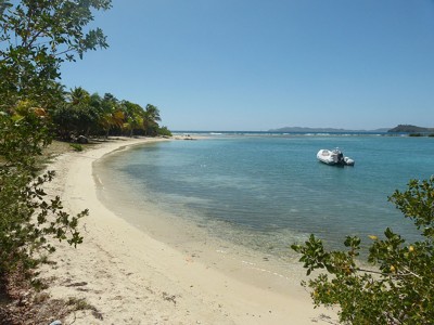 Image Image