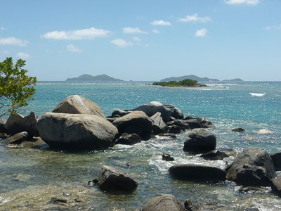 Image Image