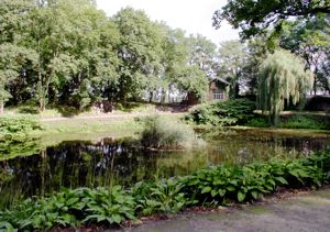 Image Image