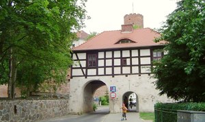 Image Image