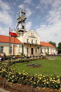 Image Image