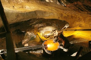 Image Image
