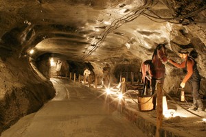 Image Image