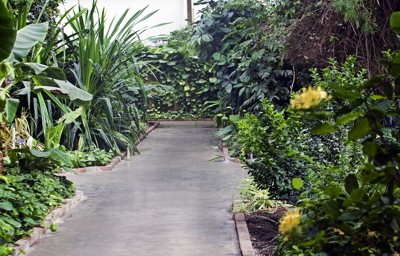 Image Image