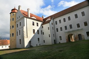 Image Image