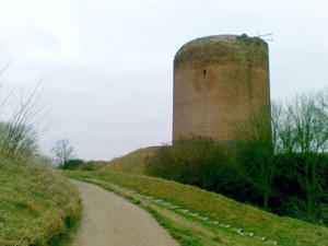 Image Image
