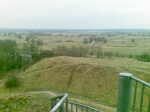 Image Image