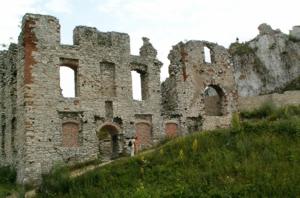 Image Image