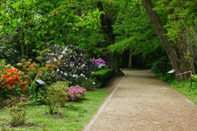 Kórnik Zamek, Biała Dama, Arboretum • Wielkopolska Ciekawie