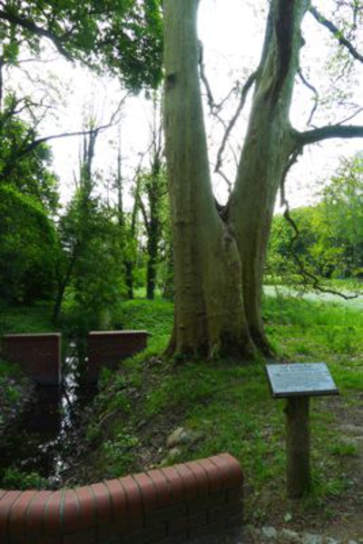 Kórnik Zamek, Biała Dama, Arboretum • Wielkopolska Ciekawie