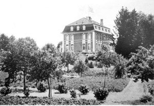 Image Image