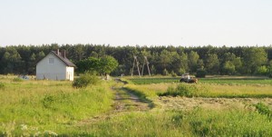 Image Image