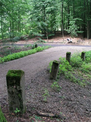 Image Image