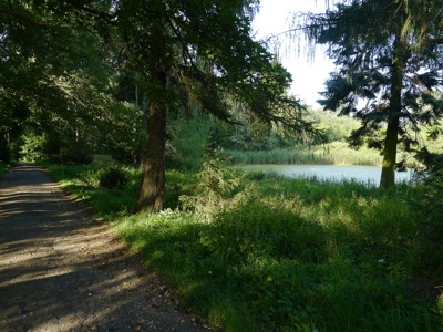 Image Image