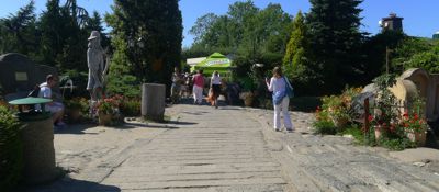 Image Image