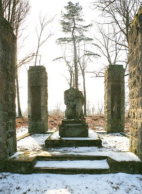 Image Image