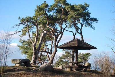 Image Image