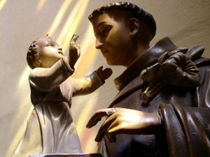Image Image