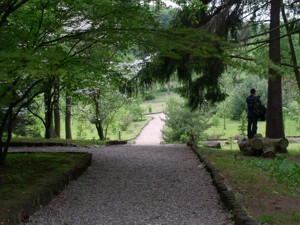 Image Image