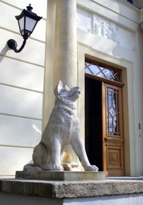 Image Image