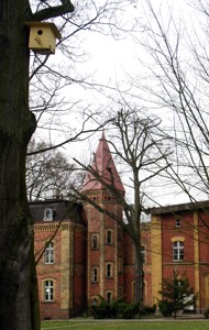Image Image