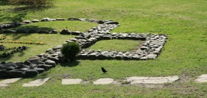 Image Image
