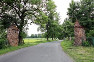 Image Image