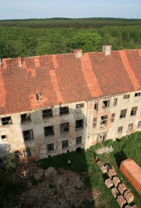 Image Image