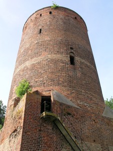 Image Image