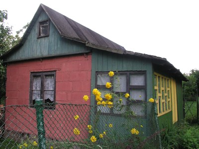 Image Image