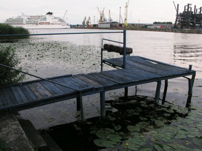 Image Image