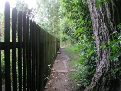 Image Image