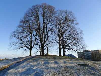 Image Image