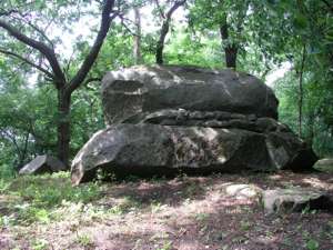 Image Image