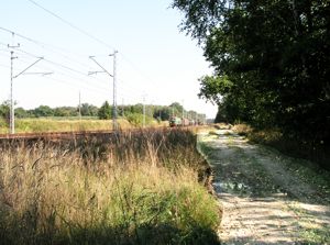Image Image