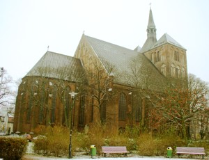 Image Image