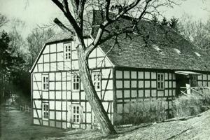 Image Image