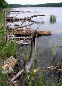 Image Image